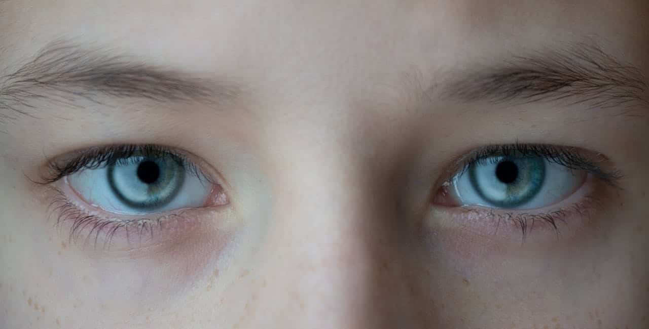 L&rsquo;EMDR